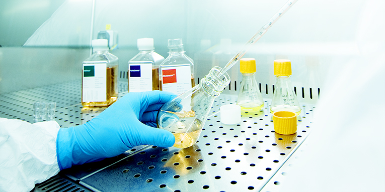 CCT_Elaborating_appropriate