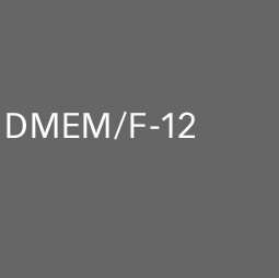 DMEM F12